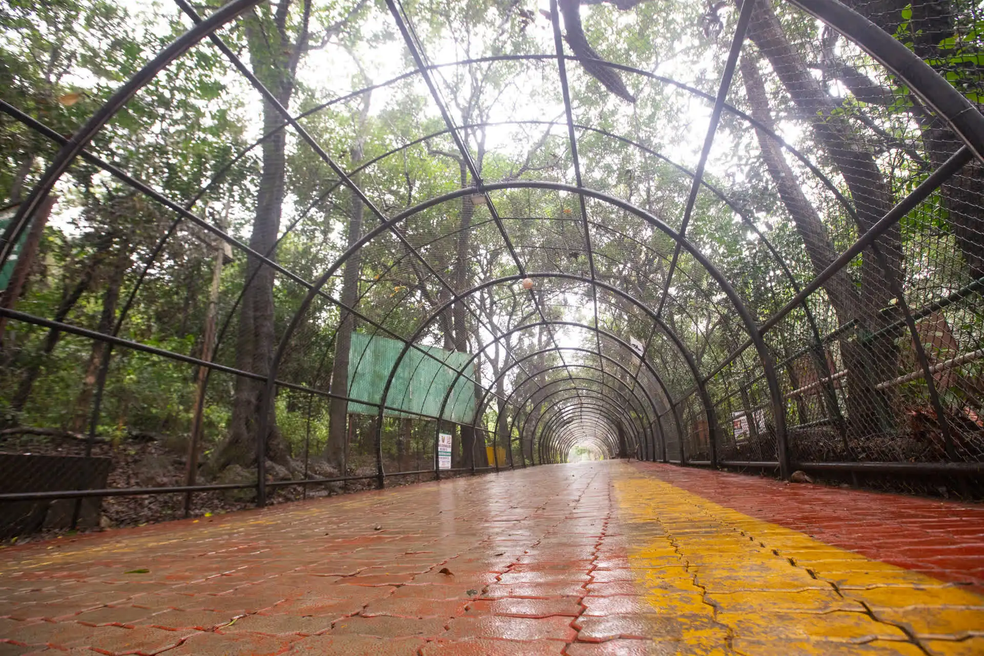 MTDC Matheran gallery 4